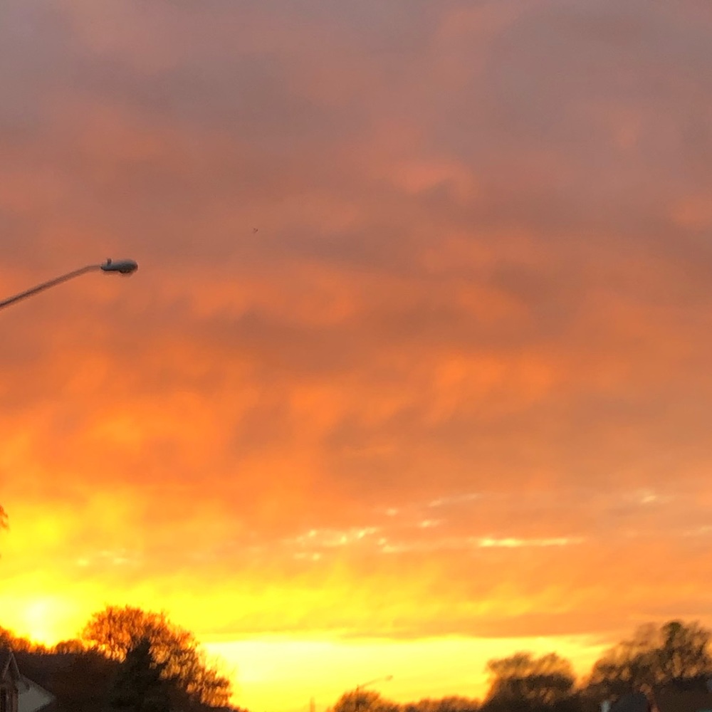 Meet your Posher, Lillian